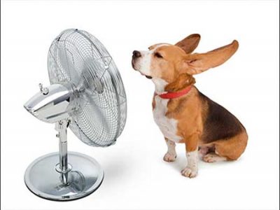 Keep-your-cool