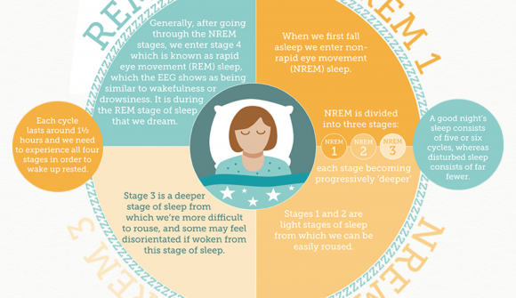 REM Sleep Cycle
