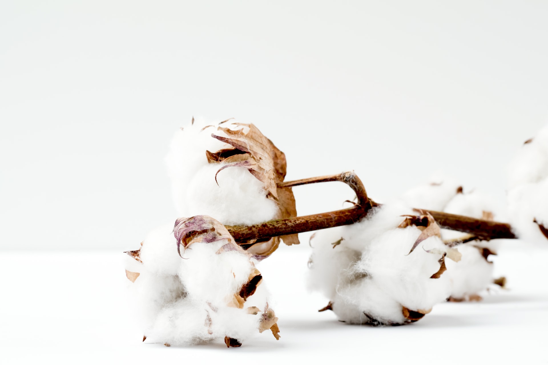 The use of natural materials in bed linen and mattresses