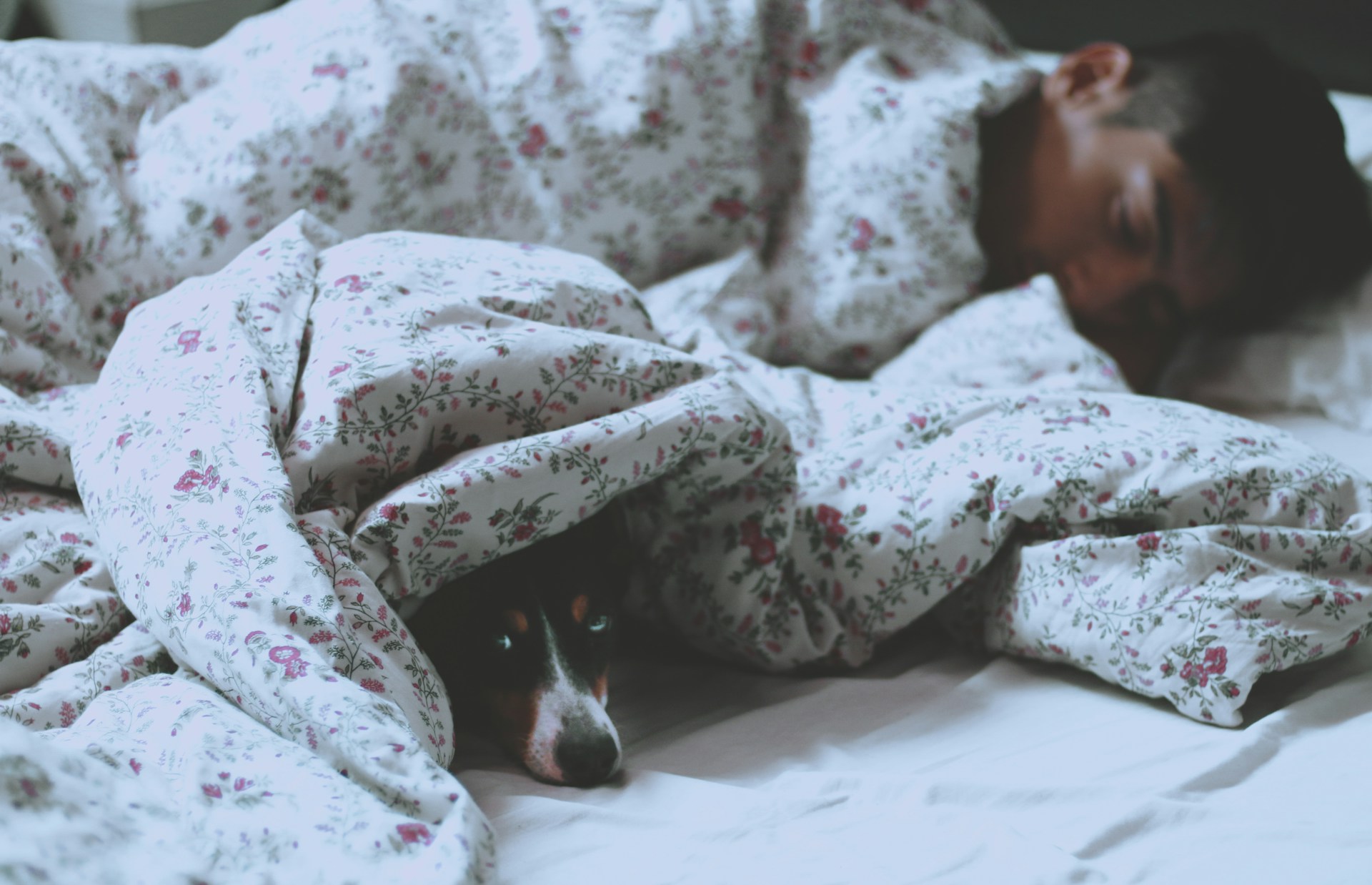 Why you may want to consider changing your bed linens more frequently